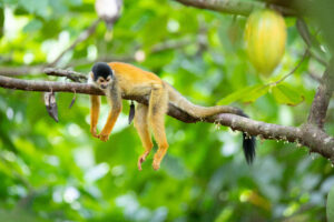 Read more about the article Blog Test 2