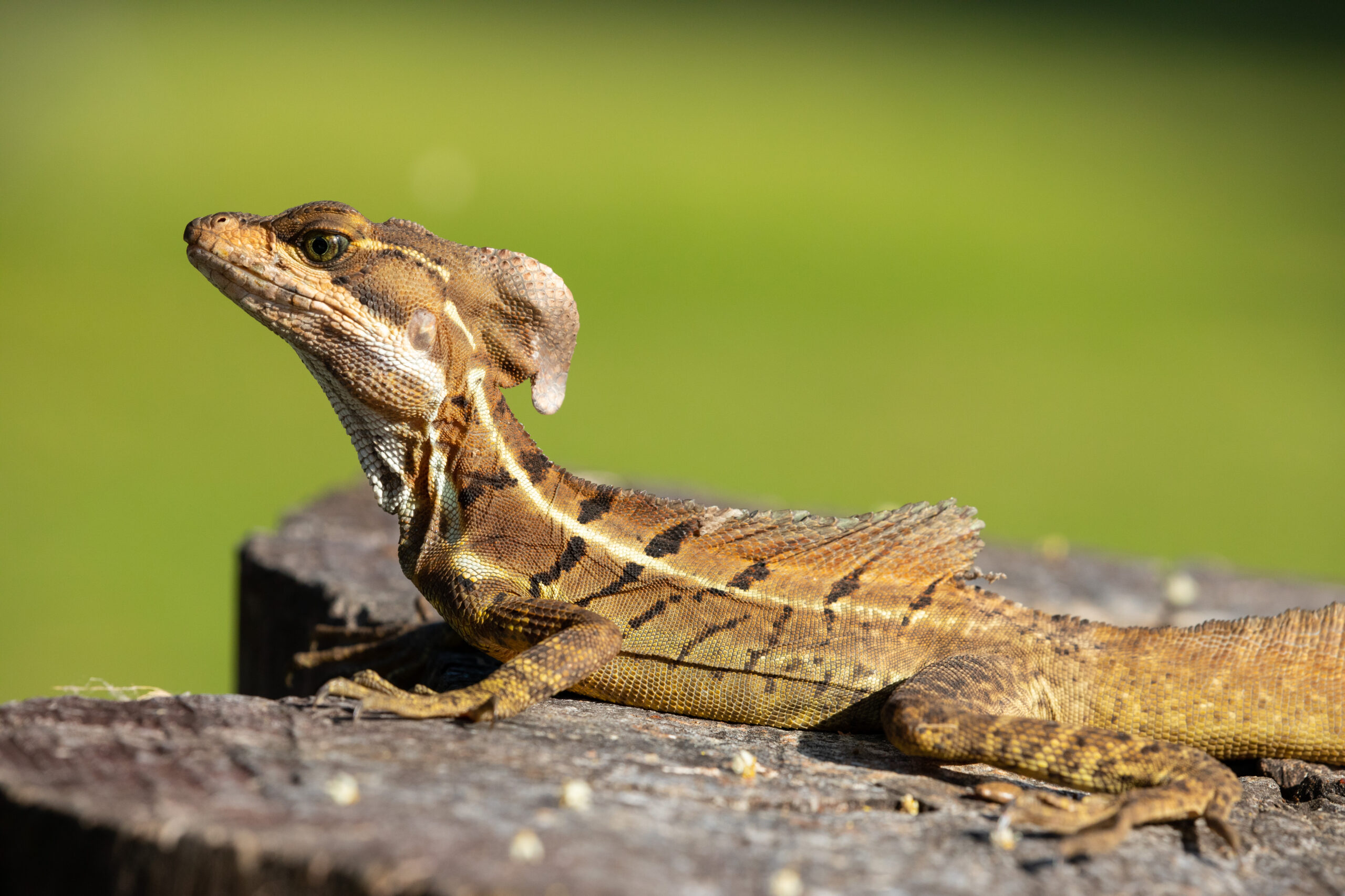 You are currently viewing Blog test 1